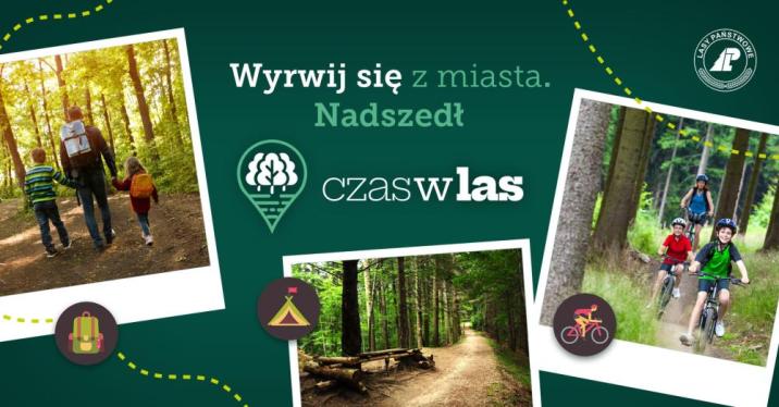 Grafika zachęcająca do skorzystania z portalu Czas w las przedstawiająca ludzi korzystających z lasu