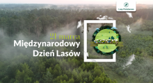 Międzynarodowy Dzień Lasów