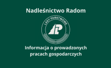 Informacja o prowadzonych pracach gospodarczych